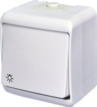 Кнопка "світло" VHE-5 (біла, IP54) 4668004 фото